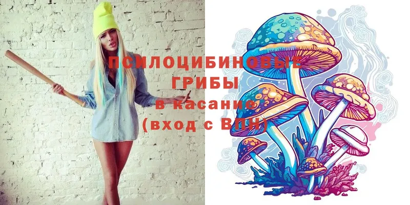 купить   Шумерля  Галлюциногенные грибы MAGIC MUSHROOMS 